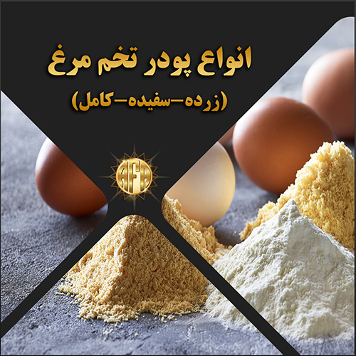 پودر تخم مرغ